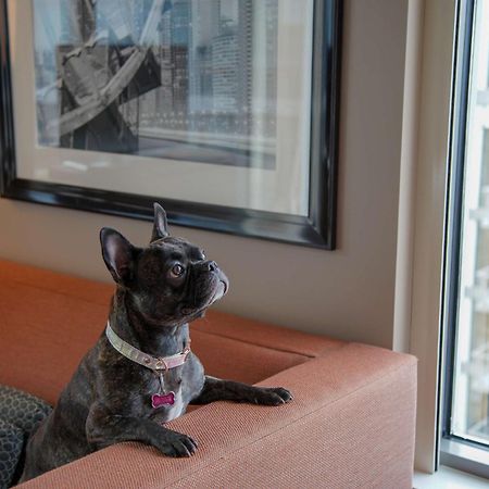 Homewood Suites By Hilton Chicago West Loop Fulton Mkt Area Exteriér fotografie